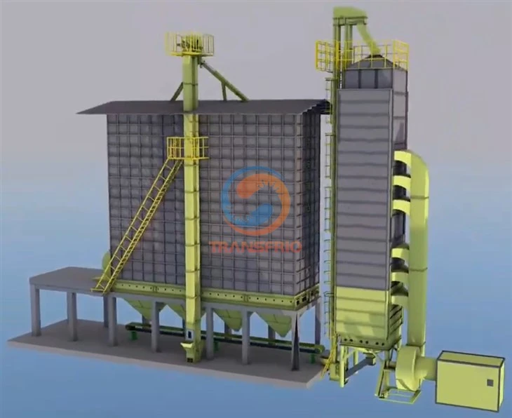 Rice Grain Dryer