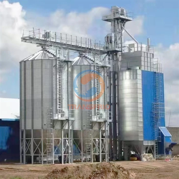 Rice Grain Dryer