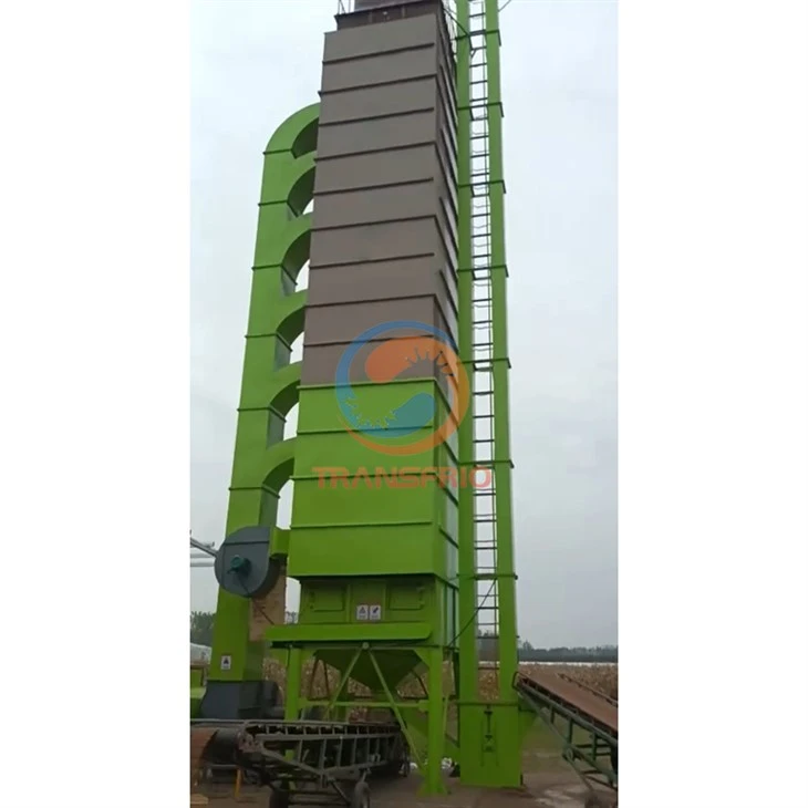 Rice Grain Dryer