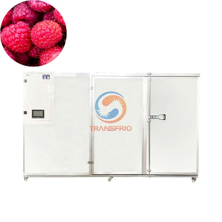 Vaisių džiovintuvas